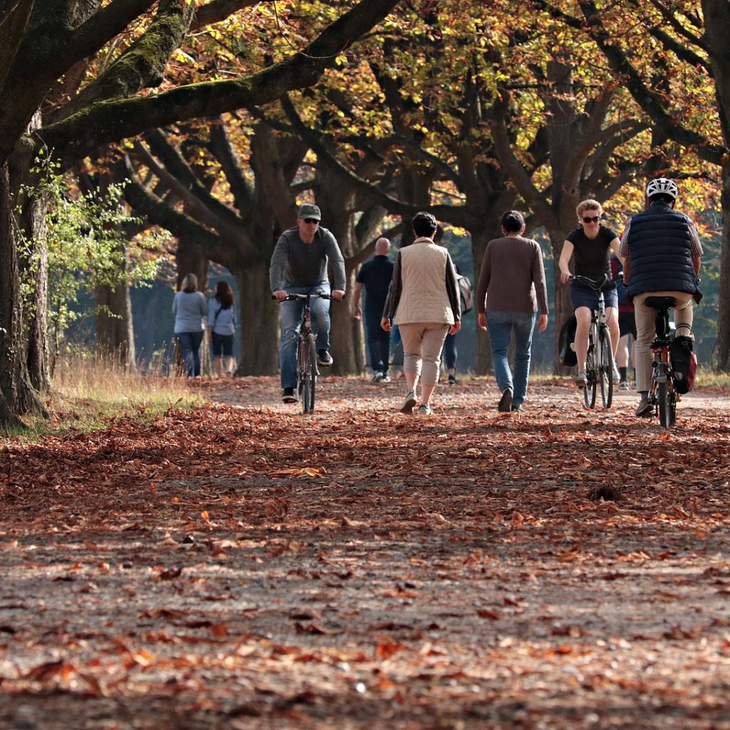 Bicycle Safety - How to Avoid Car Accidents